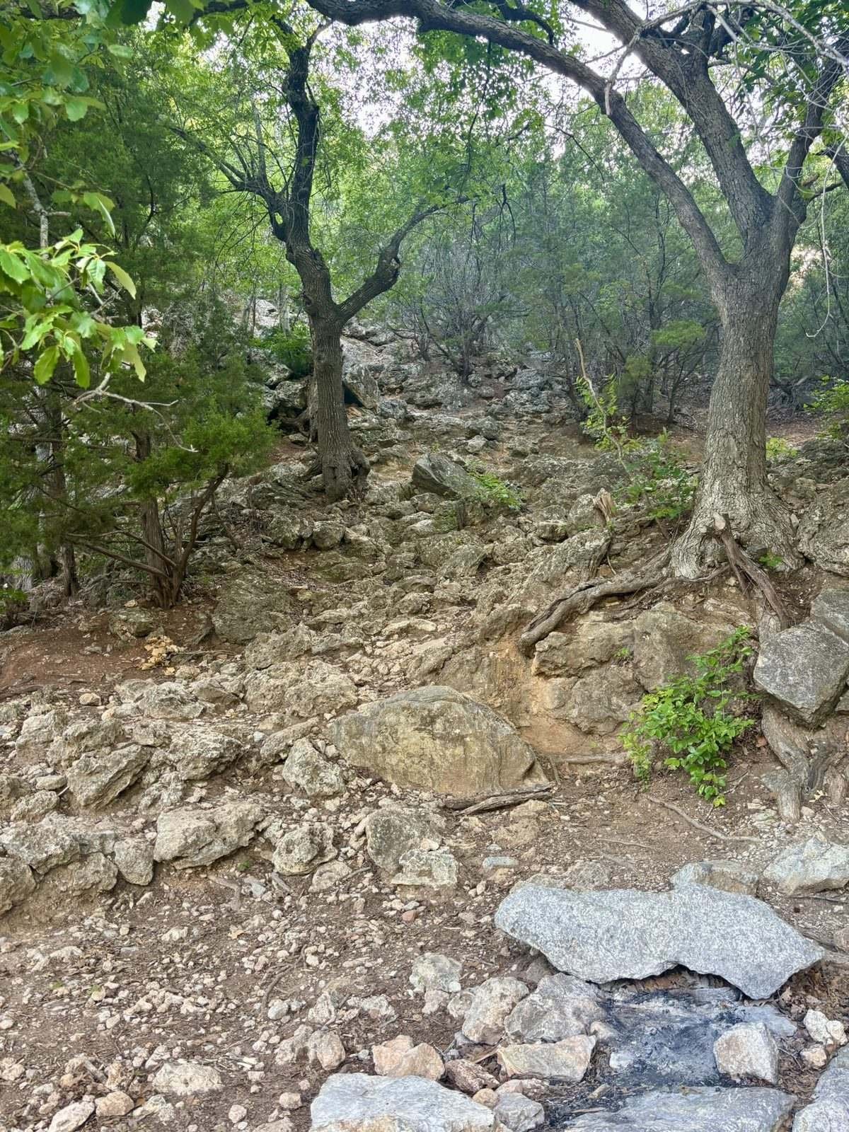 A hiking trail climbing through the Arbuckle Mountains